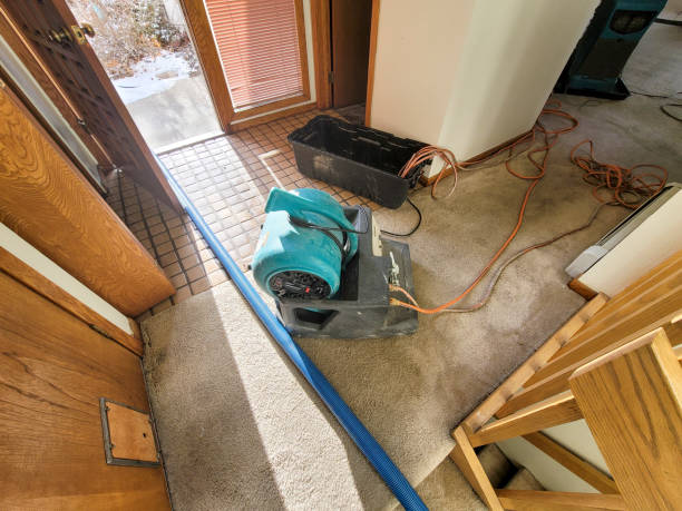 Best Water damage contractors near me  in Albuquerque, NM