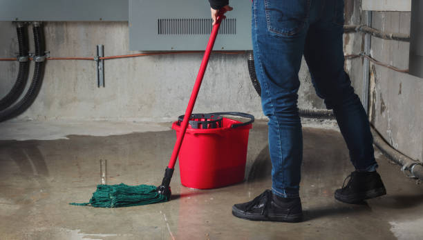 Best Flood damage cleanup  in Albuquerque, NM