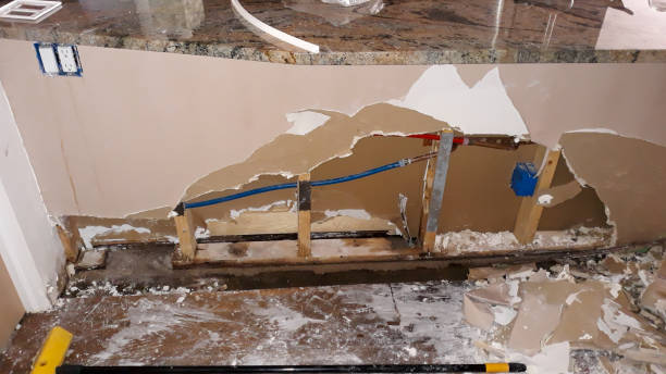Best Mold removal after water damage  in Albuquerque, NM