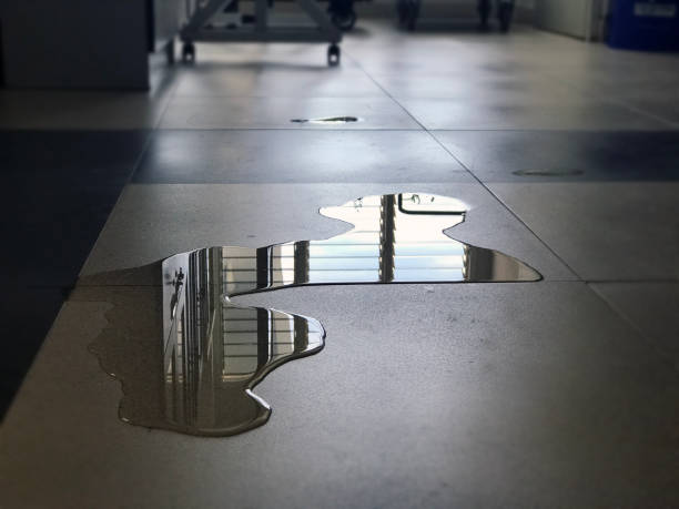 Best Professional water damage repair  in Albuquerque, NM