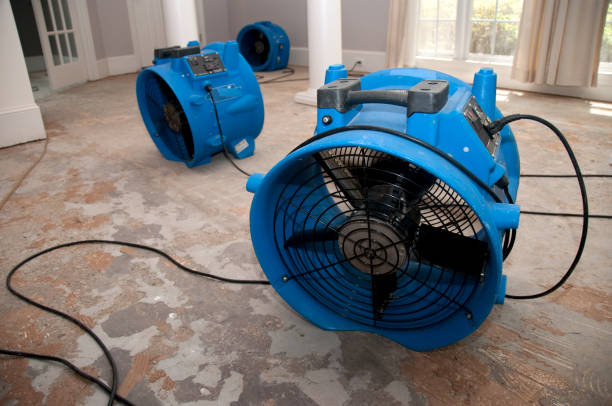 Best Basement water damage restoration  in Albuquerque, NM