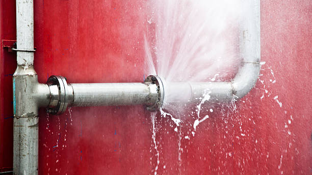 Best Flooded house restoration  in Albuquerque, NM